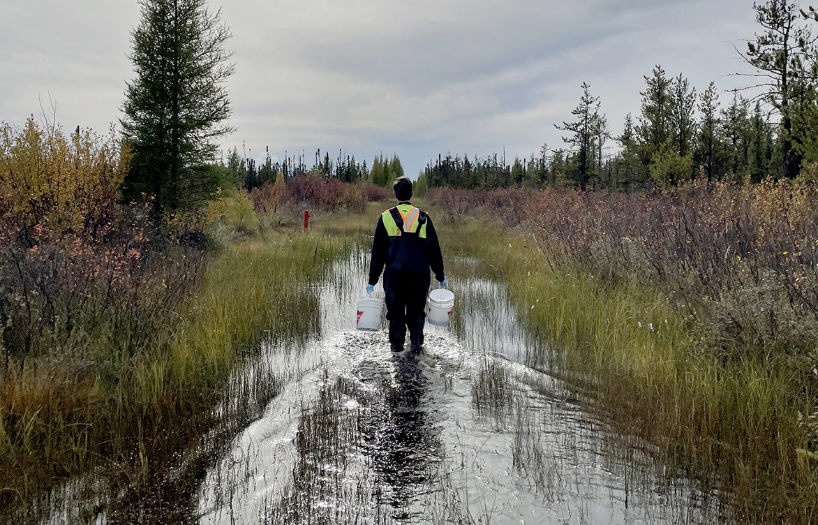 Developing a sustainable mine closure vision