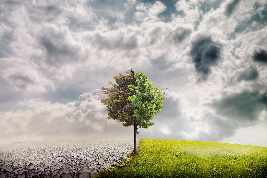 Establishing climate change adaptation strategies