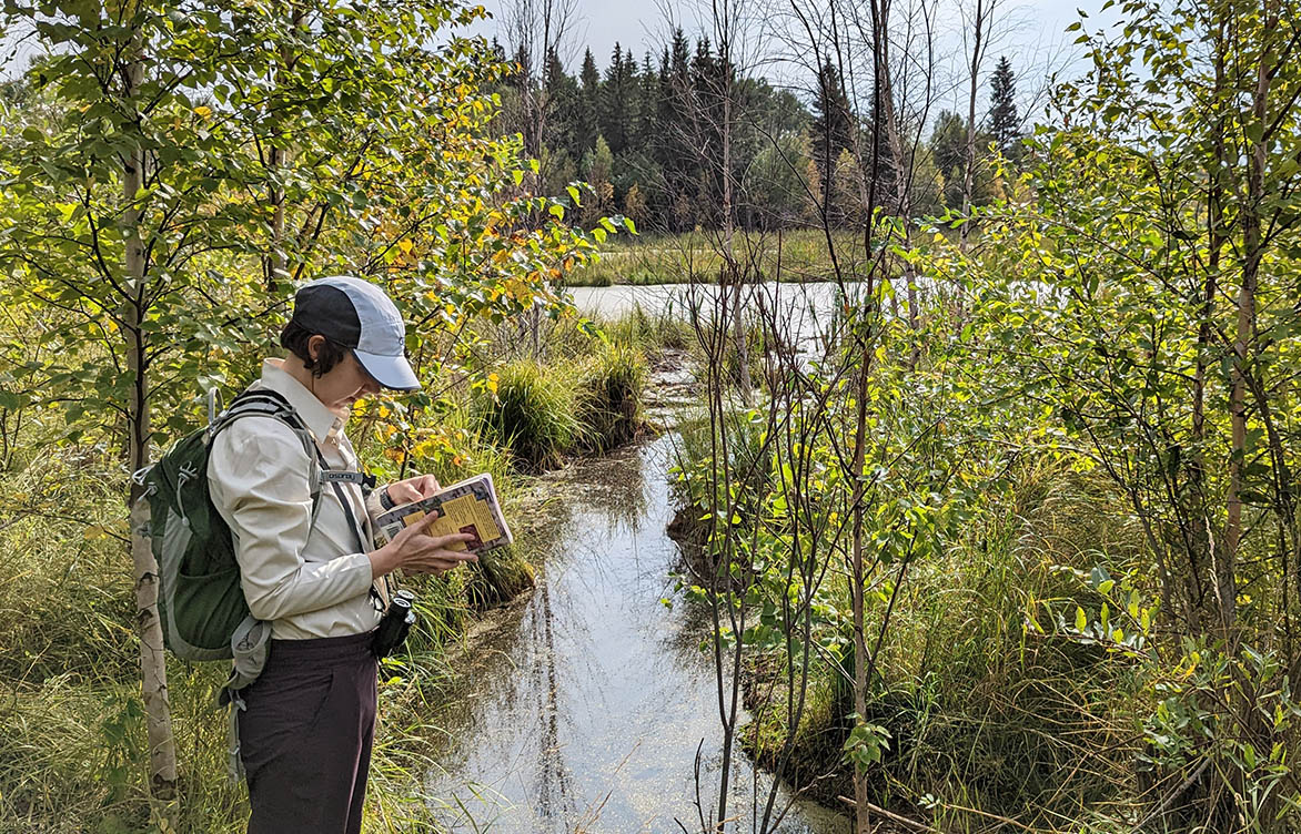4,000 wetlands and counting: Journeys of a wetland ecologist