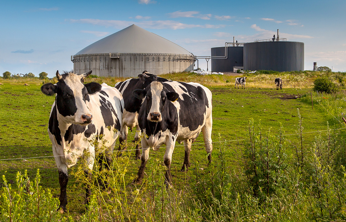 Renewable natural gas projects turn waste to energy
