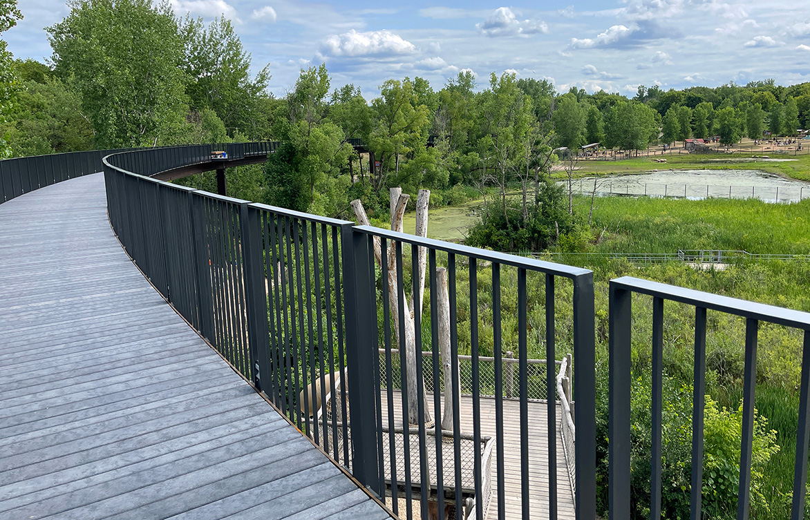 A zoo with a view: Treetop Trail opens