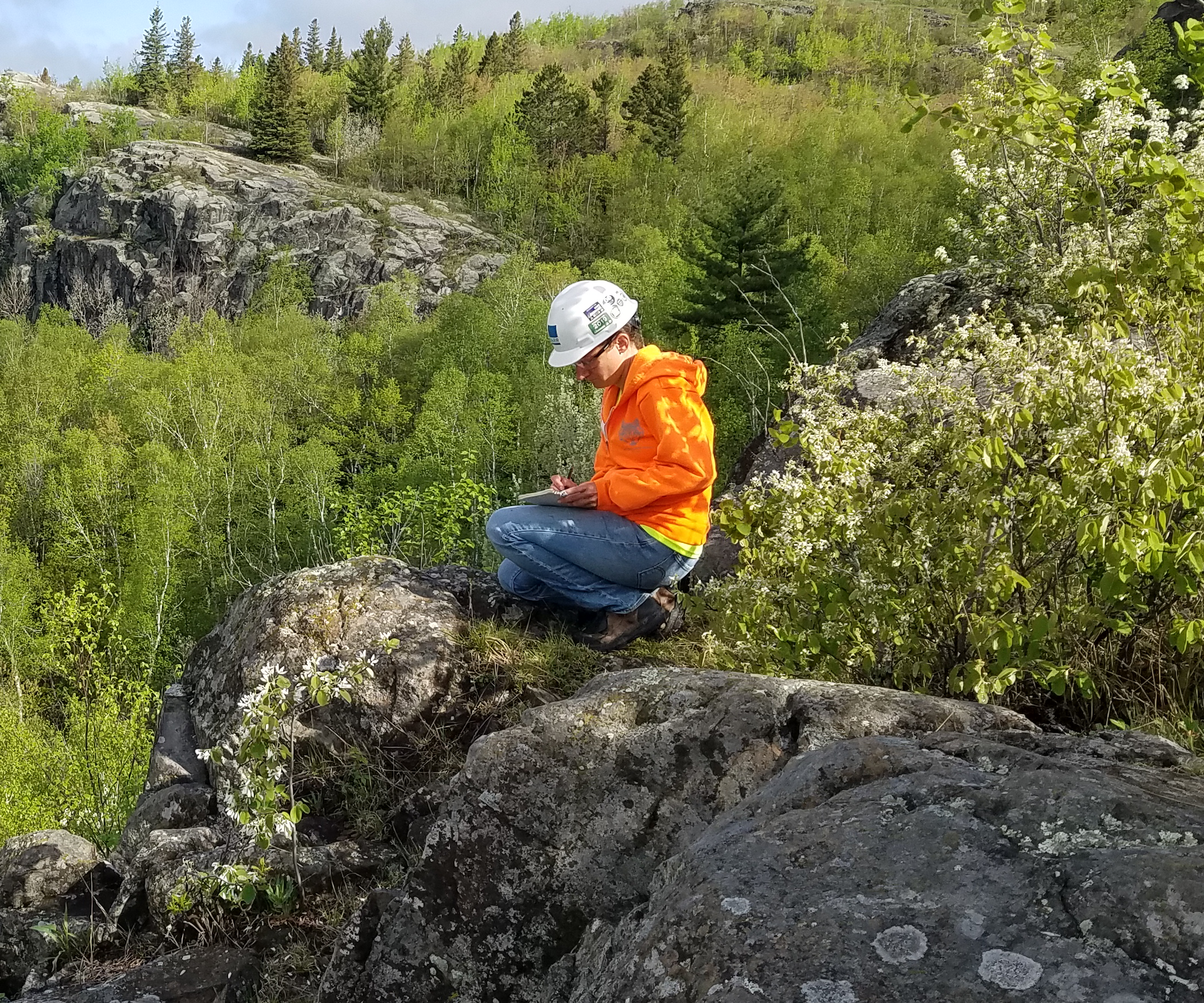 Staff member perched on a rocky outcrop taking field notes.