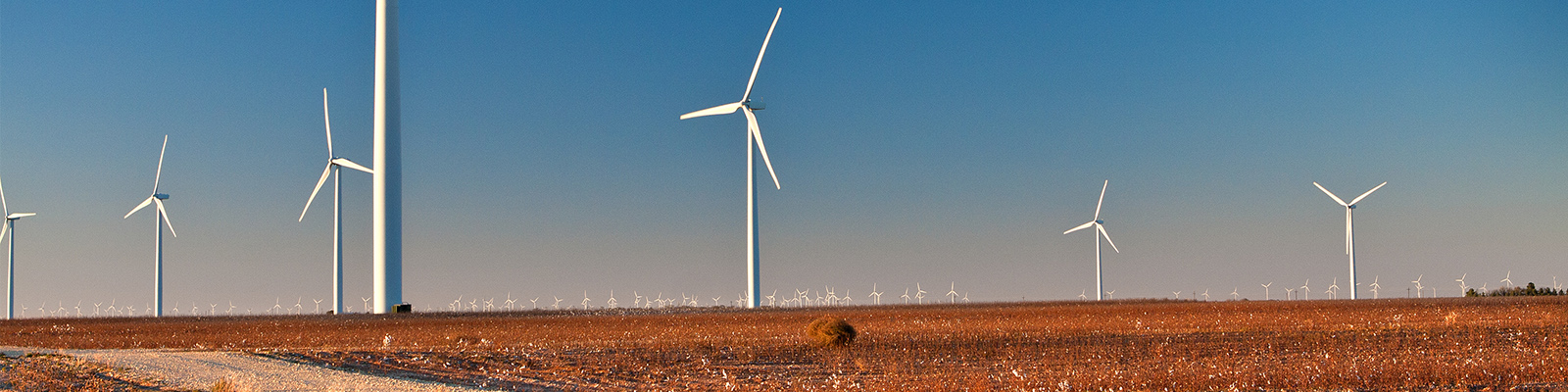 Landscape view of a wind farm in Texas.