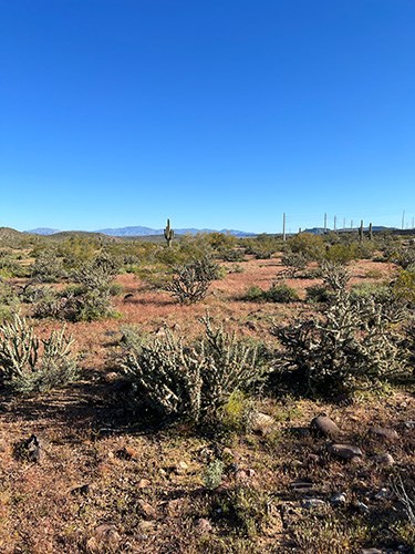 A dry desert landscape on a clear, sunny day.
