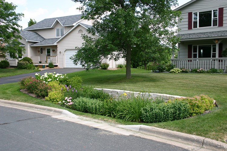 A residential front‑yard rain garden with dense green plantings and flowers sits beside the curb between two light‑colored houses.