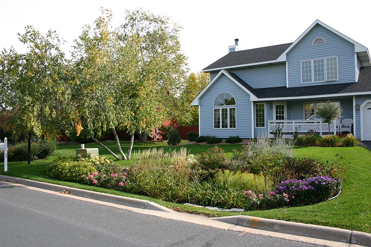 A landscaped rain garden filled with grasses, flowering plants, and small trees sits in front of a light‑blue suburban house on a corner lot.