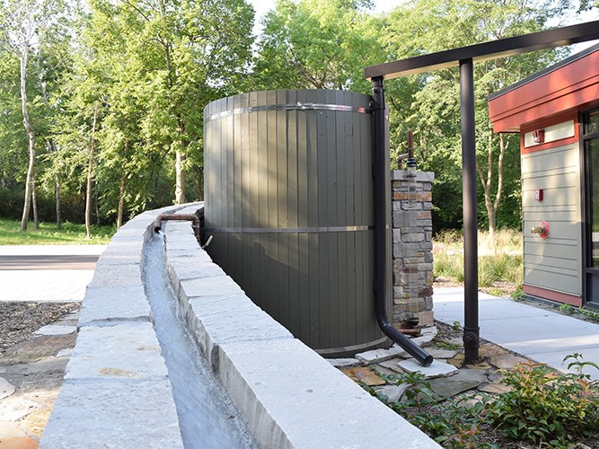 A stone pathway and an educational sign in a shady landscape with ferns and large trees.