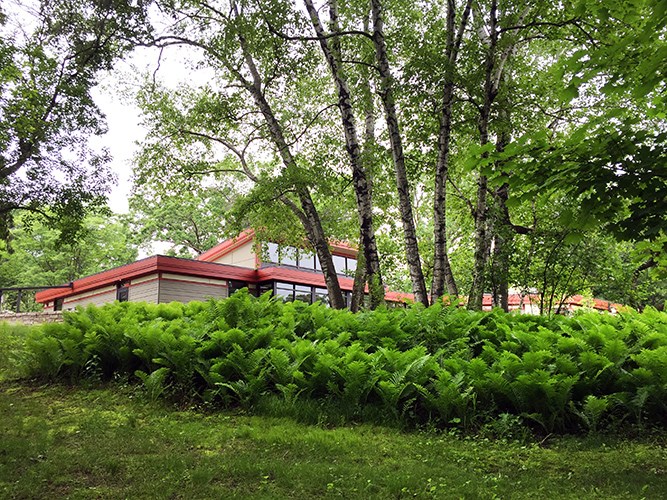 A modern building with large glass windows and a flat red roof surrounded by planted grasses.