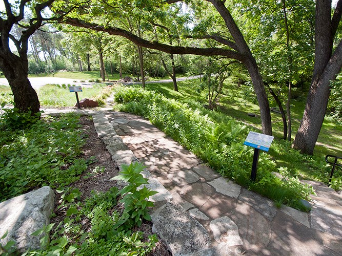 Stone waterfall feature with water cascading through a narrow channel between stone blocks, set against a stone wall with greenery in the background.