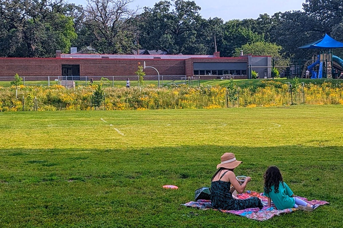 Two people sit on a blanket in a sunny field near a school building, with wildflowers and a playground visible in the background.