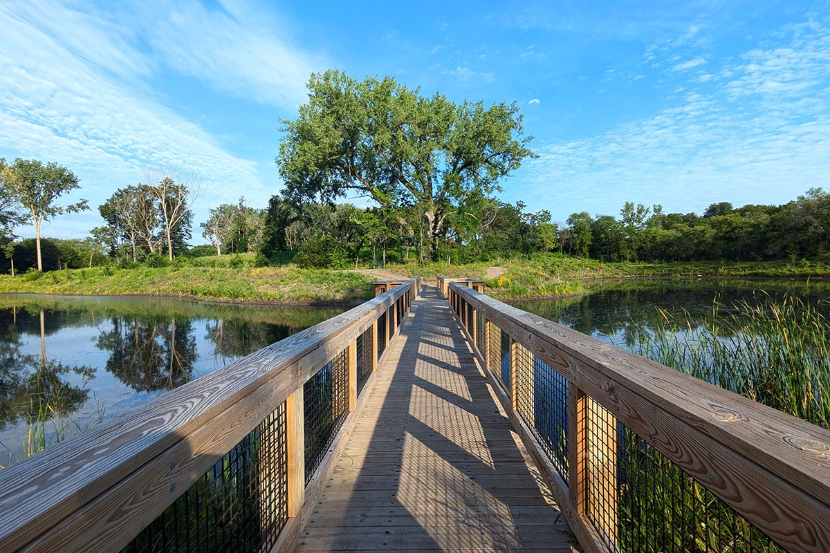 A wooden boardwalk extends over calm water toward a large tree surrounded by lush green vegetation under a bright blue sky.