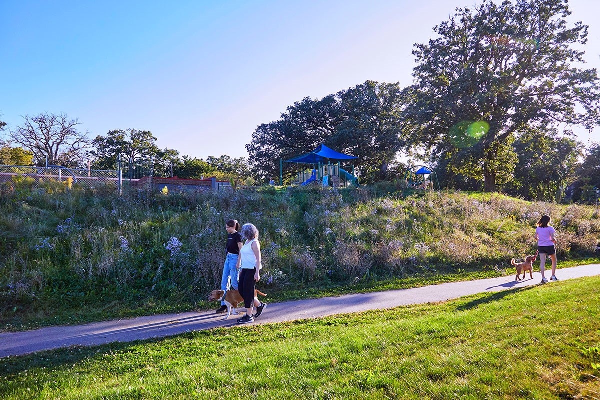 People walk dogs along a paved path beside a grassy slope with a playground and large trees in the background.