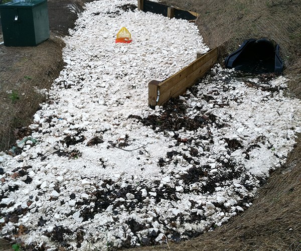 A pond with soil banks and a new stormwater treatment cell on the bank, with grass-seed matting covering the construction area around the cell.