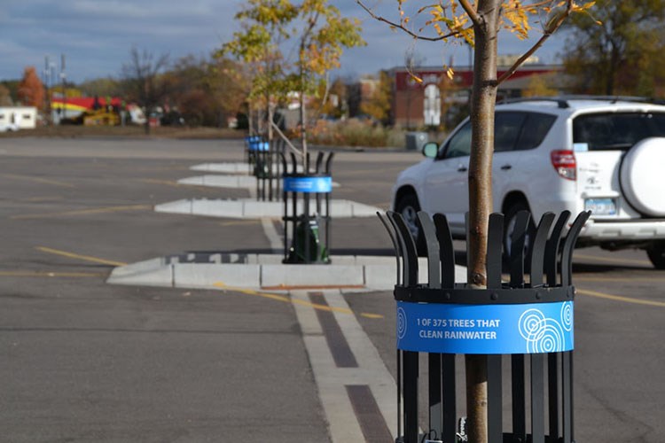 Young street trees in protective blue‑banded guards line a mostly empty parking lot beside a parked white SUV.
