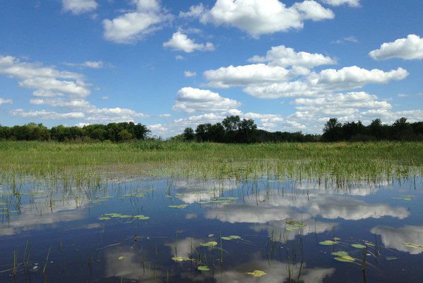 Research and analysis of multiple states’ environmental review and permitting processes