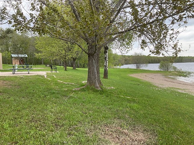 A grassy, open area and small lakeside beach in a city park on a cloudy day, including a park bench and large trees.