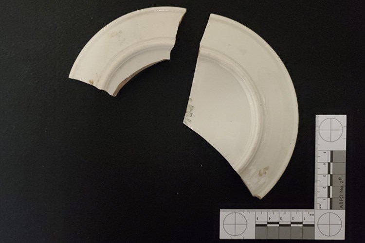 Fragments of a plate against a black background with a scale bar in the bottom-right corner.