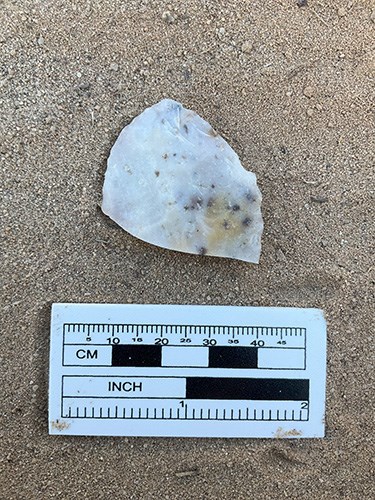 Biface or knife tool fragment found during a cultural resources survey