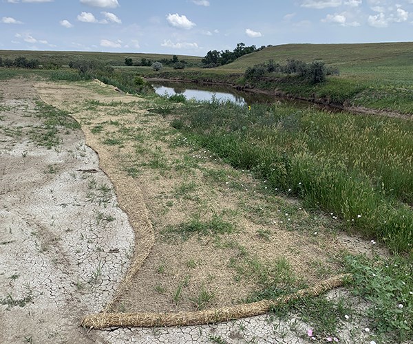 Erosion‑control straw matting lines the cracked, sparsely vegetated ground beside a green embankment leading to a small stream.